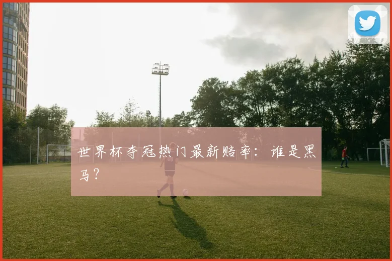 世界杯夺冠热门最新赔率：谁是黑马？